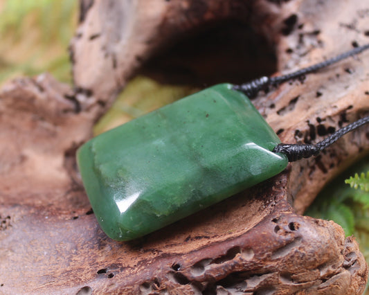 Hapopo Pounamu Toki