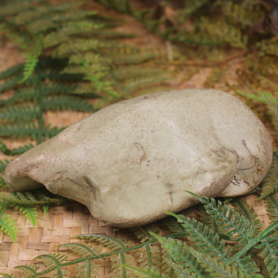 Freeform Pounamu Sculpture - Kokopu  Pounamu - NZ Greenstone