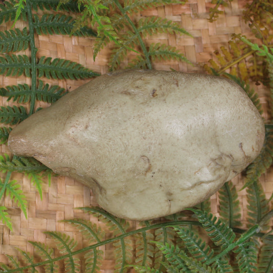 Freeform Pounamu Sculpture - Kokopu  Pounamu - NZ Greenstone