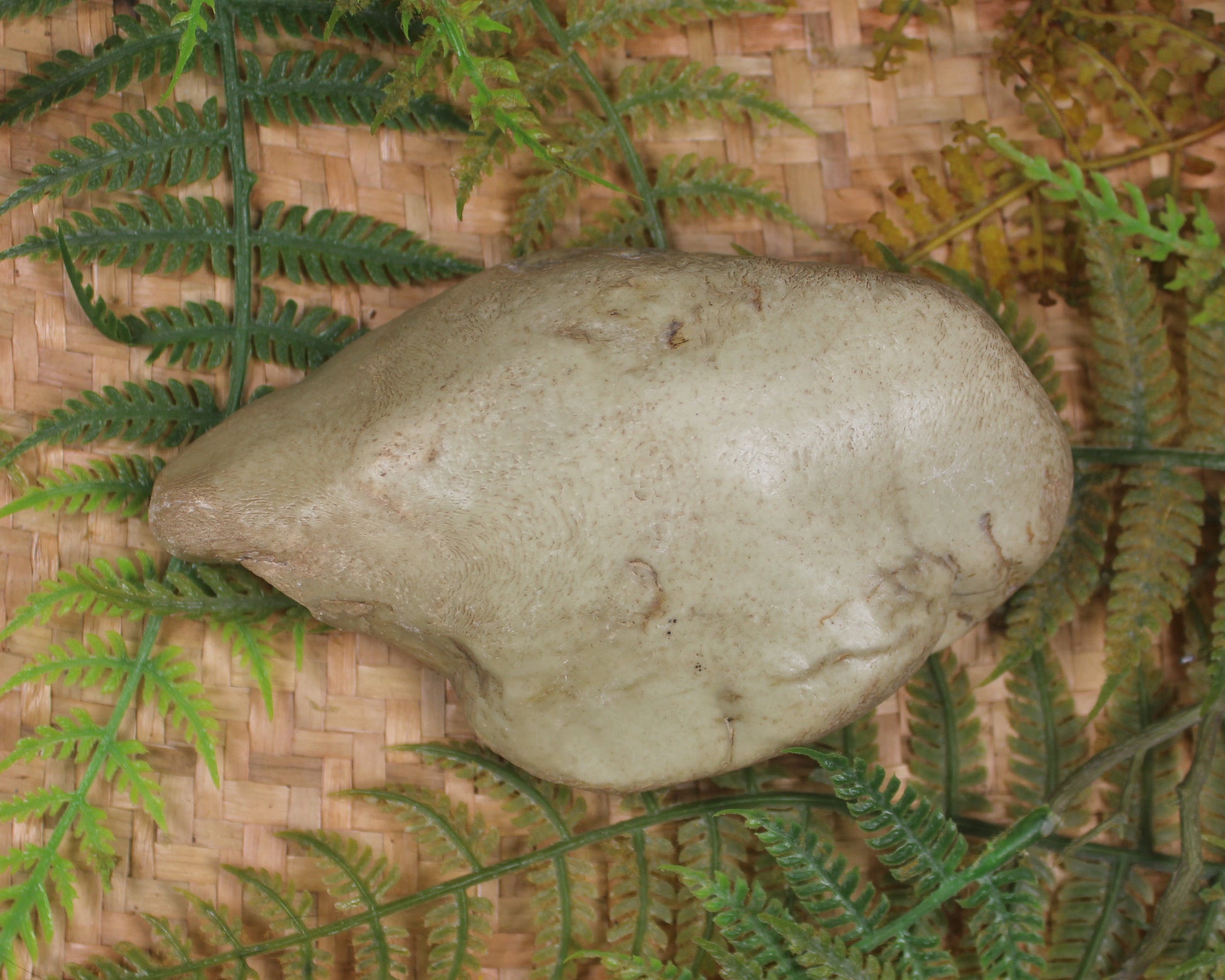 Freeform Pounamu Sculpture - Kokopu  Pounamu - NZ Greenstone