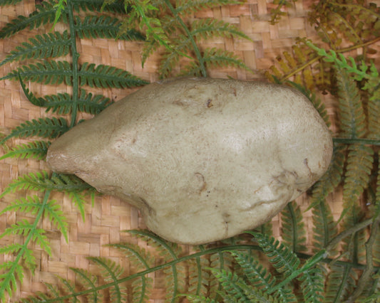 Freeform Pounamu Sculpture - Kokopu  Pounamu - NZ Greenstone