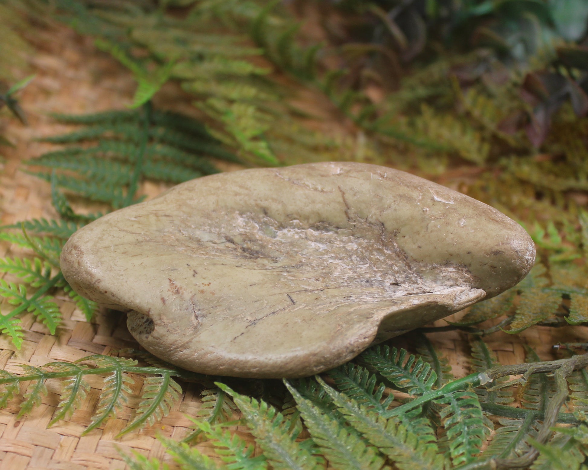 Freeform Pounamu Sculpture - Kokopu  Pounamu - NZ Greenstone