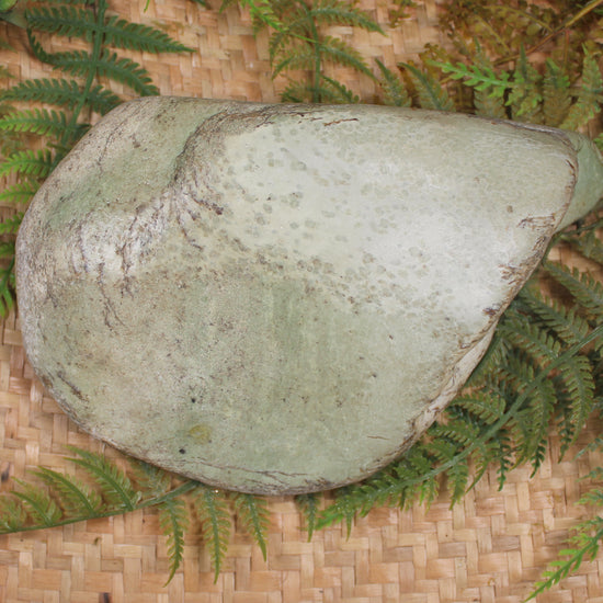 Freeform Pounamu Sculpture - Kokopu  Pounamu - NZ Greenstone