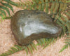 Freeform Touchstone Pounamu Sculpture - Inanga Pounamu - NZ Greenstone