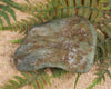 Freeform Touchstone Pounamu Sculpture - Inanga Pounamu - NZ Greenstone
