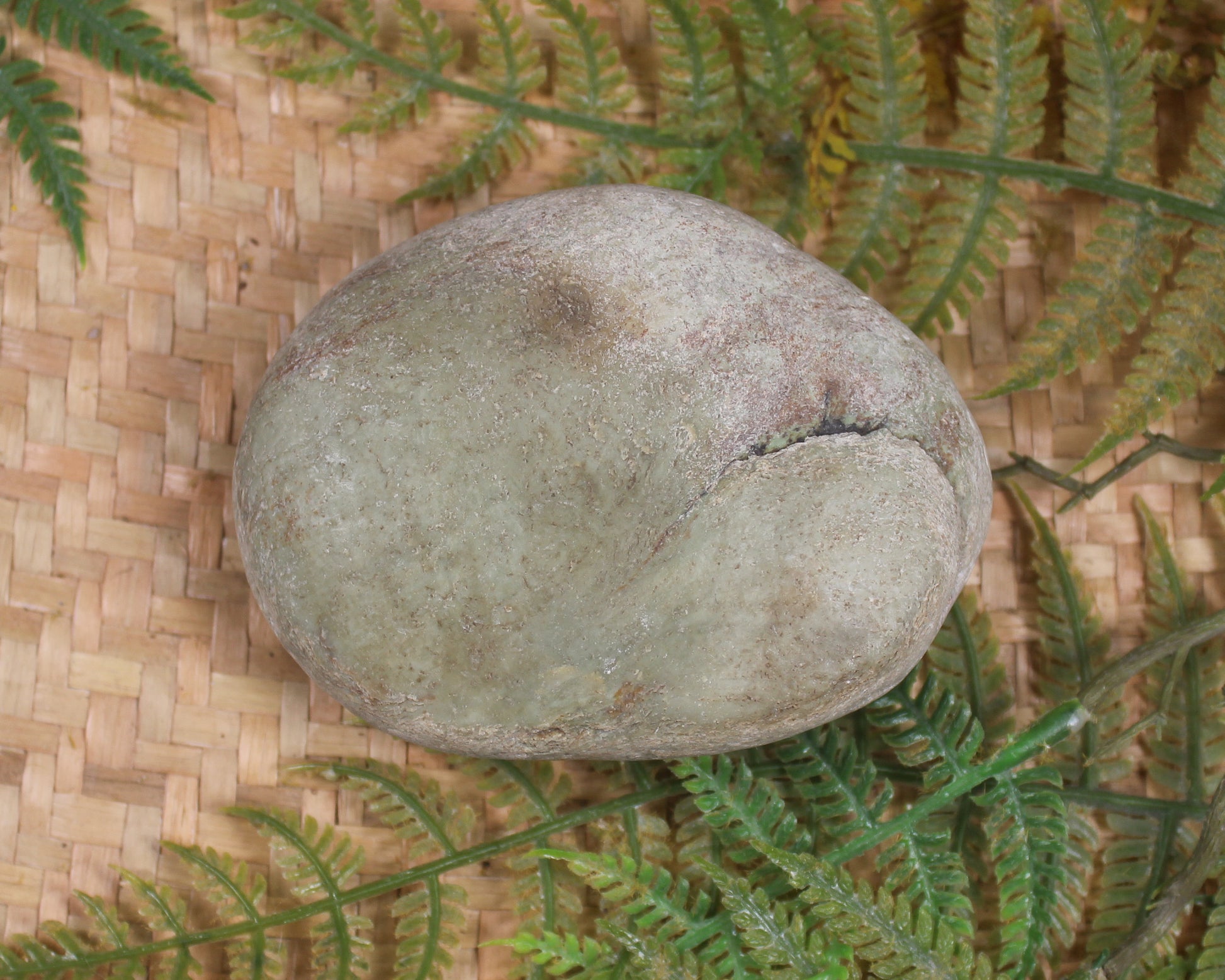 Freeform Pounamu Sculpture - Kokopu  Pounamu - NZ Greenstone