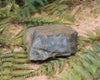 Freeform Touchstone Pounamu Sculpture - Inanga Pounamu - NZ Greenstone