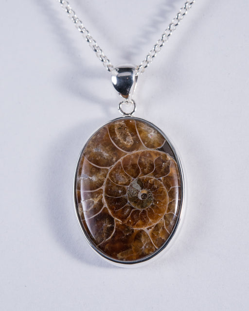 Ammonite Sterling Silver Pendant (AH838)