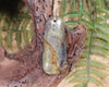 Hapopo Pounamu Toki