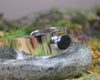 Sterling Silver Cuff Bangle with Pounamu
