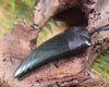 Taniwha Tooth or Niho carved from Kawakawa Pounamu - NZ Greenstone
