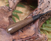 Roimata carved from NZ Fossilised Wood