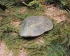 Freeform Pounamu Sculpture - Kokopu Pounamu - NZ Greenstone