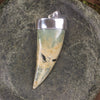 Taniwha Tooth or Niho carved from Flower Jade Pounamu - NZ Greenstone