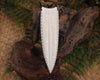 NZ Beef Bone Niho