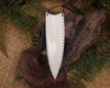 NZ Beef Bone Niho
