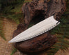 NZ Beef Bone Niho