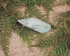 Freeform Hapopo Pounamu Sculpture