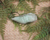 Freeform Hapopo Pounamu Sculpture