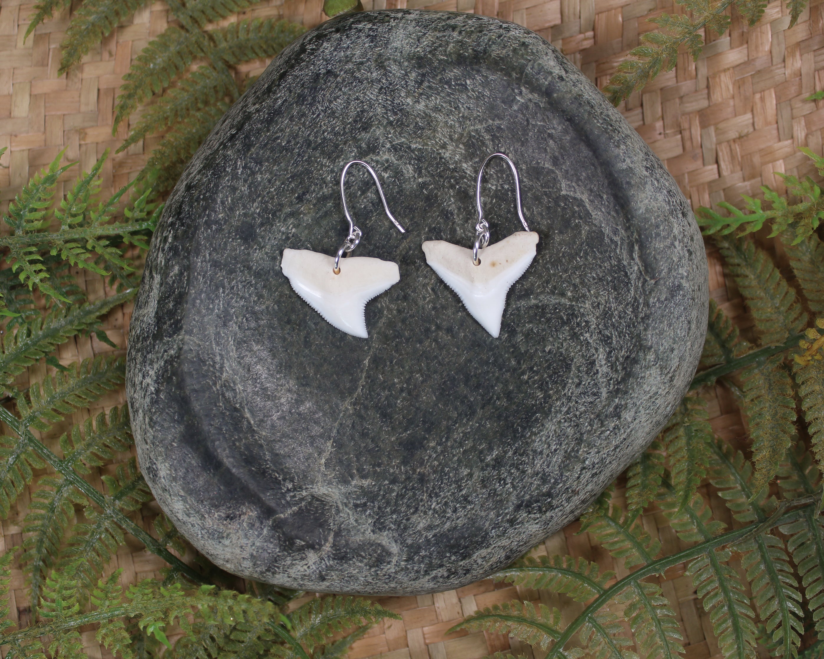 Shark Tooth Earrings