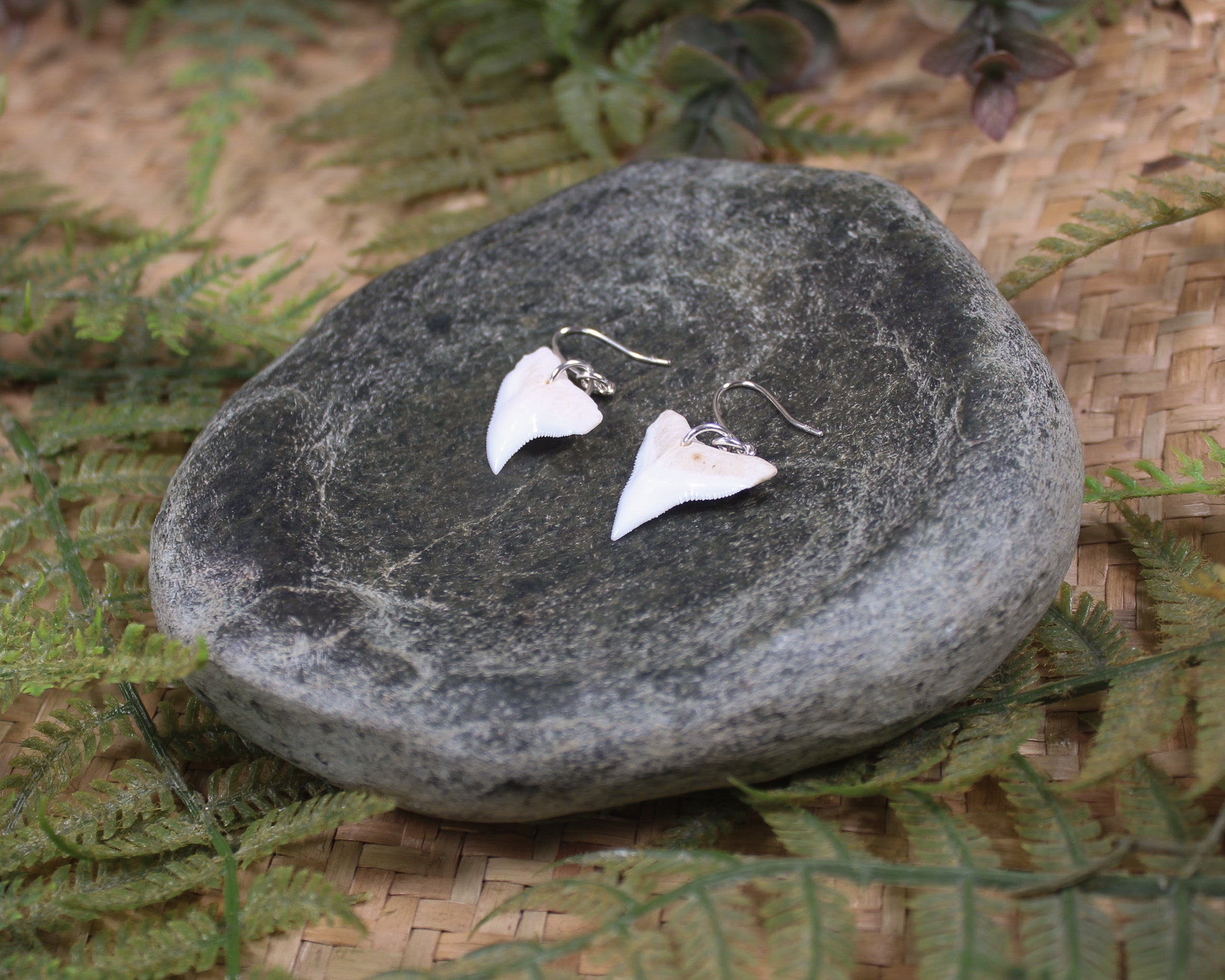 Shark Tooth Earrings