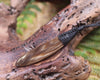 Roimata carved from NZ Fossilised Wood