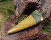 Taniwha Tooth or Niho carved from Flower Jade Pounamu - NZ Greenstone