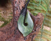 Hei Matau carved from Hapopo Pounamu - NZ Greenstone