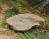 Freeform Pounamu Sculpture - Kokopu  Pounamu - NZ Greenstone