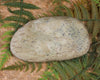 Freeform Pounamu Sculpture - Kokopu  Pounamu - NZ Greenstone