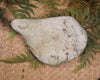 Freeform Pounamu Sculpture - Kokopu  Pounamu - NZ Greenstone
