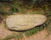Freeform Pounamu Sculpture - Kokopu  Pounamu - NZ Greenstone