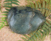 Freeform Kawakawa Pounamu Sculpture