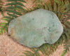 Freeform Pounamu Sculpture - Kokopu  Pounamu - NZ Greenstone