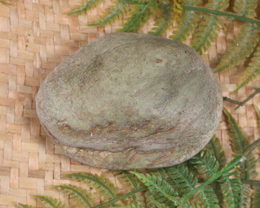 Freeform Pounamu Sculpture - Kokopu  Pounamu - NZ Greenstone