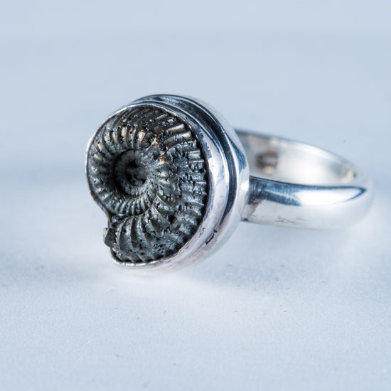 Ammonite Pyrite Sterling Silver Ring