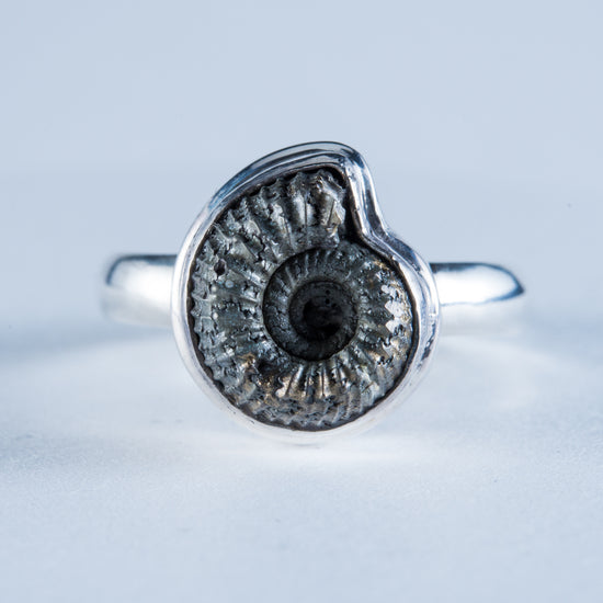 Ammonite Pyrite Sterling Silver Ring