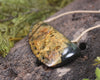 Taniwha Tooth or Niho carved from Totoweka Pounamu - NZ Greenstone