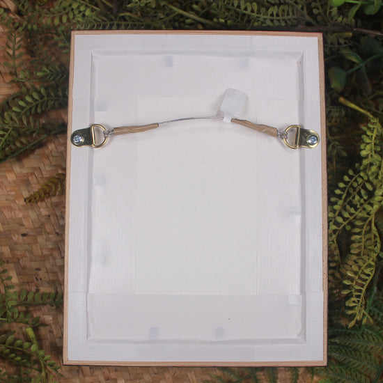 Framed Kawakawa Pounamu Matau - NZ Greenstone