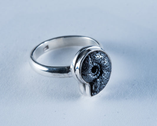 Ammonite Pyrite Sterling Silver Ring Size 8 (S673)