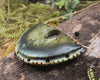 Breastplate or Shield carved from NZ Serpentine