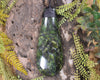 Roimata Teardrop carved from Douglas Creek Pounamu - NZ Greenstone