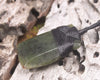Rimu Pounamu Toki