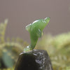 Hapopo Pounamu Dolphin Sculpture - NZ Greenstone