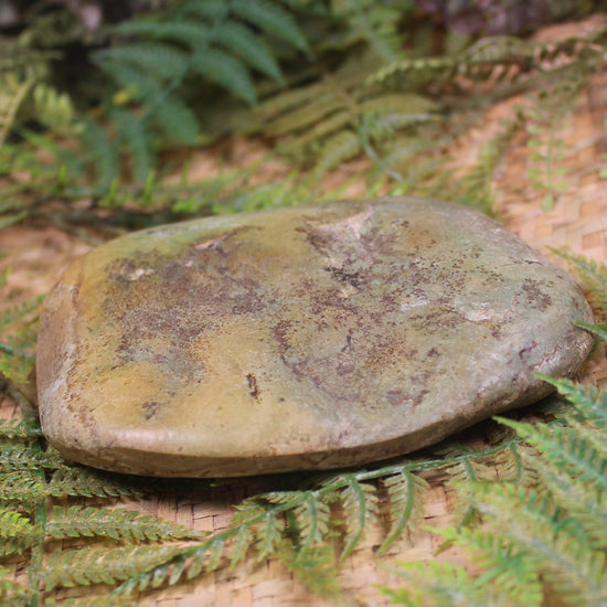 Freeform Pounamu Sculpture - Kokopu  Pounamu - NZ Greenstone