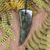 Tooth pendant carved from Douglas Creek Pounamu - NZ Greenstone