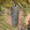 Flower Jade Pounamu Taiaha spear head pendant - NZ Greenstone