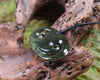 Koru carved from Rimu Pounamu - NZ Greenstone