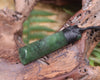 Hapopo Pounamu Toki