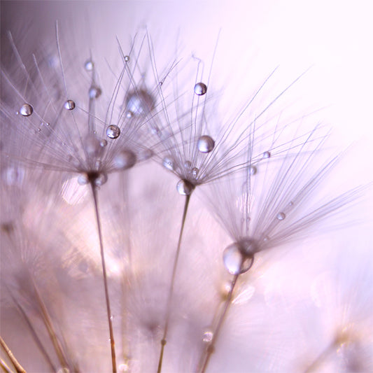 Engraving order for Karen